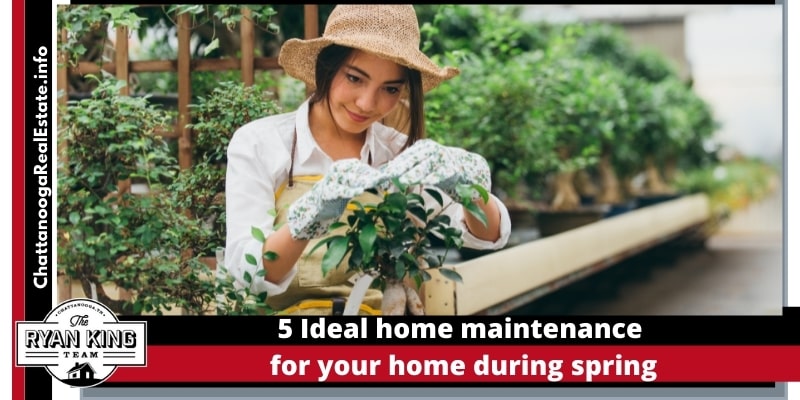 5 Ideal home maintenance for your home during spring