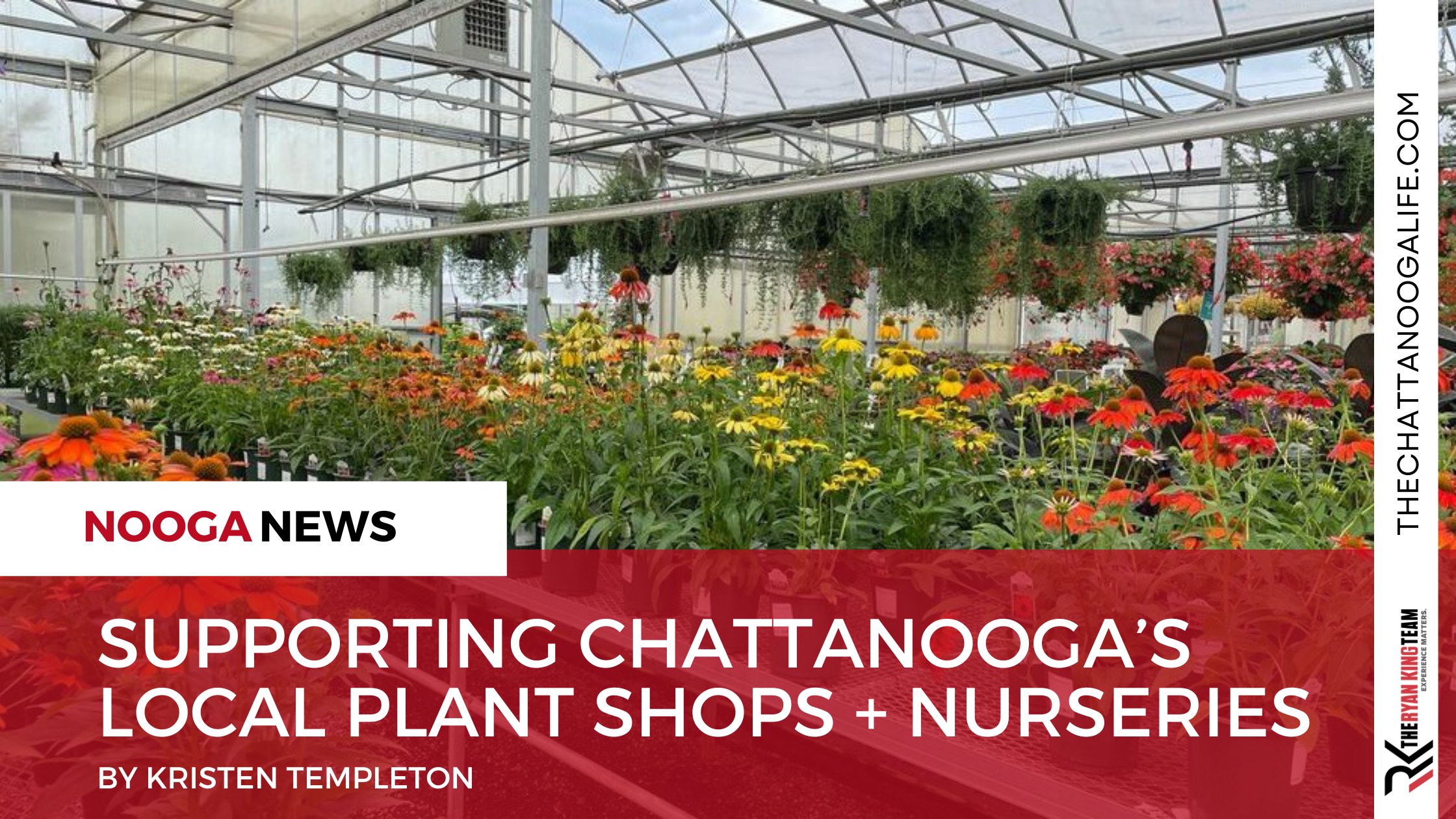 Supporting Chattanooga’s Local Plant Shops + Nurseries