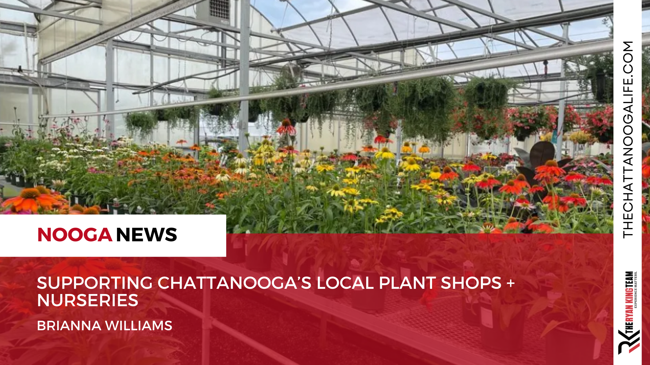 Supporting Chattanooga’s local plant shops + nurseries