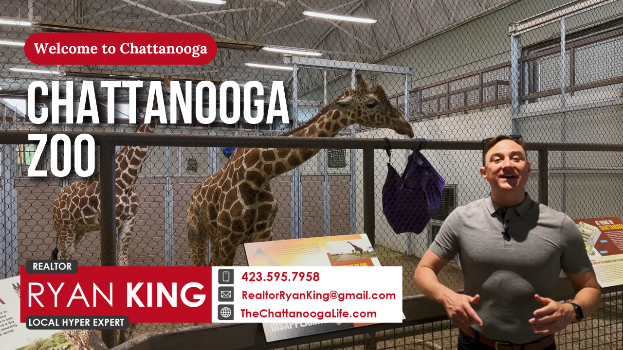 Welcome to Chattanooga – Chattanooga Zoo